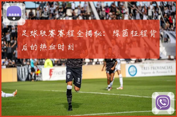 足球联赛赛程全揭秘：绿茵征程背后的热血时刻